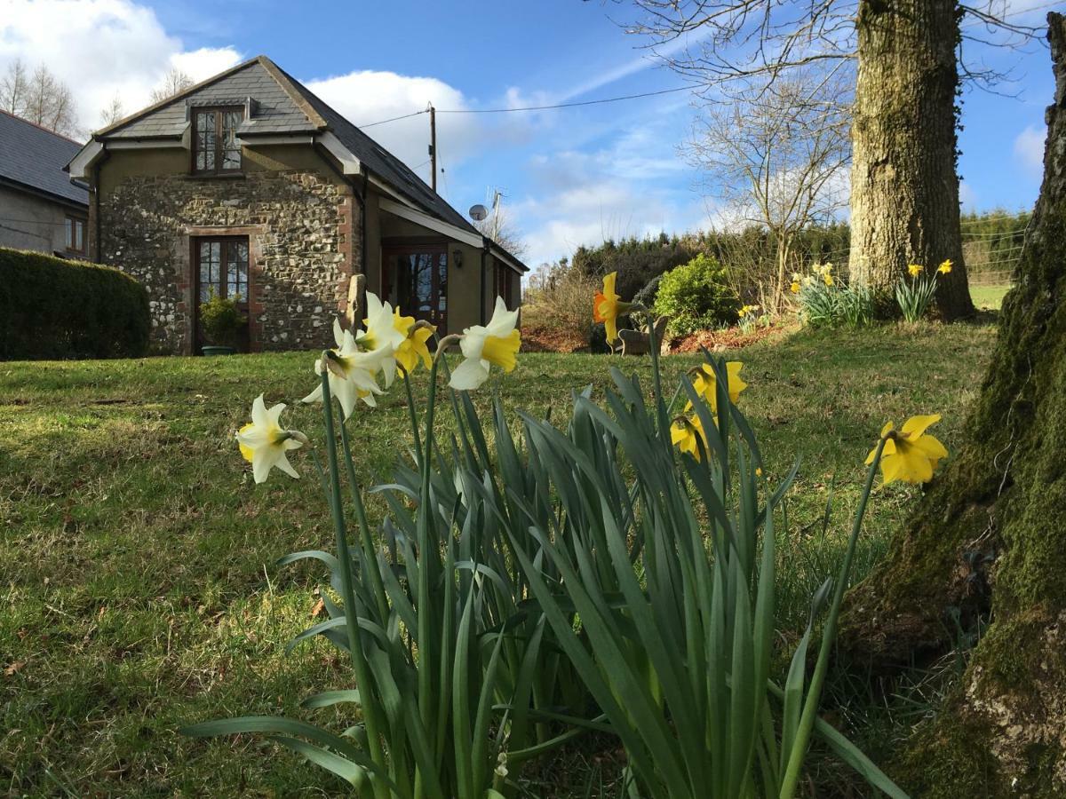 Meadow Sweet * Okehampton