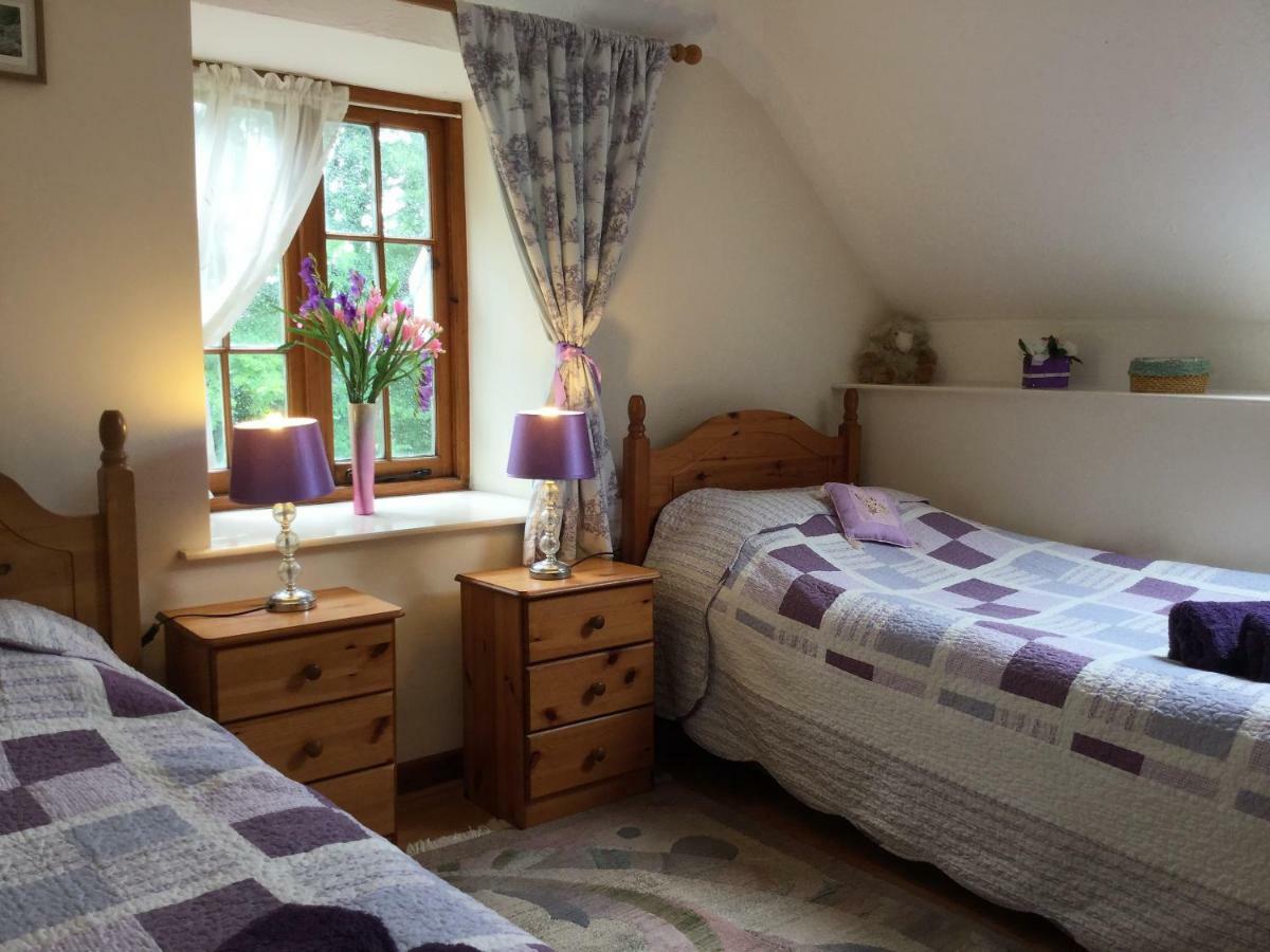 Meadow Sweet * Okehampton