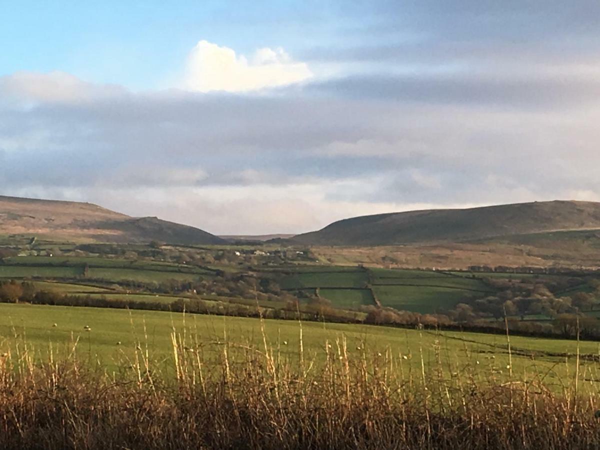 Meadow Sweet Okehampton